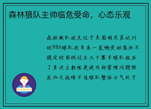 森林狼队主帅临危受命，心态乐观